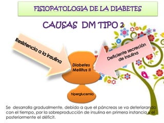 Diabetes
Mellitus II
Se desarrolla gradualmente, debido a que el páncreas se va deteriorando
con el tiempo, por la sobreproducción de insulina en primera instancia y el
posteriormente el déficit.
 
