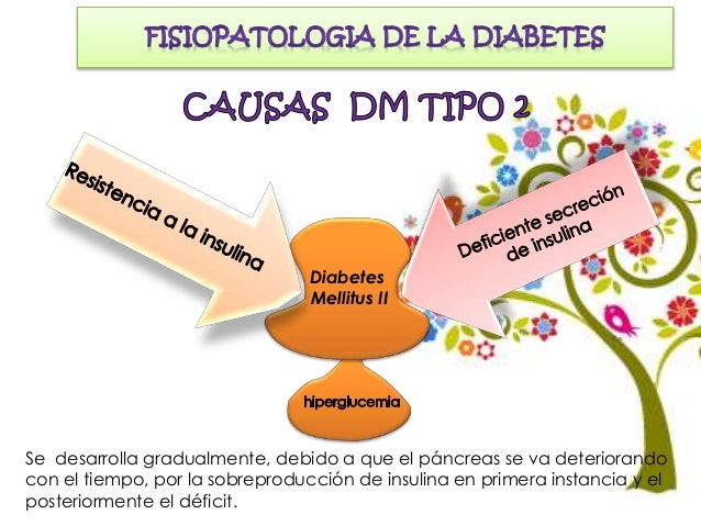 Diabetes mellitus tipo 2 (1) Diabetes mellitus tipo 2 (1)