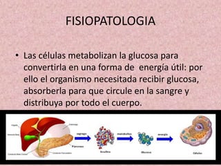FISIOPATOLOGIA
• Las células metabolizan la glucosa para
convertirla en una forma de energía útil: por
ello el organismo n...