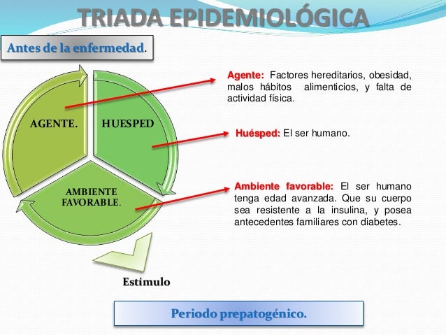 Diabetes mellitus tipo II (Luis Alberto Reyes Dominguez) Diabetes mellitus tipo II (Luis Alberto Reyes Dominguez)
