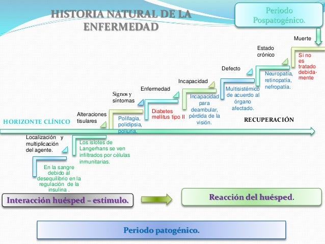 Diabetes mellitus tipo II (Luis Alberto Reyes Dominguez) Diabetes mellitus tipo II (Luis Alberto Reyes Dominguez)