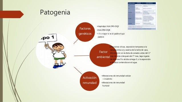 Diabetes mellitus todo Diabetes mellitus todo