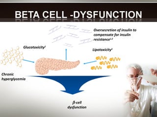 Chronic  hyperglycemia Glucotoxicity 2 Lipotoxicity 3 Oversecretion of insulin to compensate for insulin resistance 1,2  -cell dysfunction 