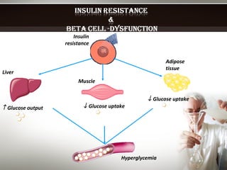 IR Insulin resistance Liver Muscle Adipose tissue    Glucose output    Glucose uptake    Glucose uptake Hyperglycemia 
