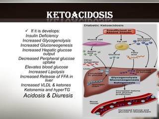 If it is develops: Insulin Deficiency  Increased Glycogenolysis Increased Gluconeogenesis Increased Hepatic glucose output Decreased Peripheral glucose uptake Elevates blood glucose Increased Lipolysis Increased Release of FFA in liver Increased VLDL & ketones  Ketonemia and hyperTG Acidosis & Diuresis 