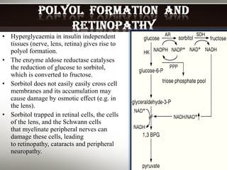 Hyperglycaemia in insulin independent tissues (nerve, lens, retina) gives rise to polyol formation. The enzyme aldose reductase catalyses the reduction of glucose to sorbitol, which is converted to fructose. Sorbitol does not easily easily cross cell membranes and its accumulation may cause damage by osmotic effect (e.g. in the lens). Sorbitol trapped in retinal cells, the cells of the lens, and the Schwann cells that myelinate peripheral nerves can damage these cells, leading to retinopathy, cataracts and peripheral neuropathy. 