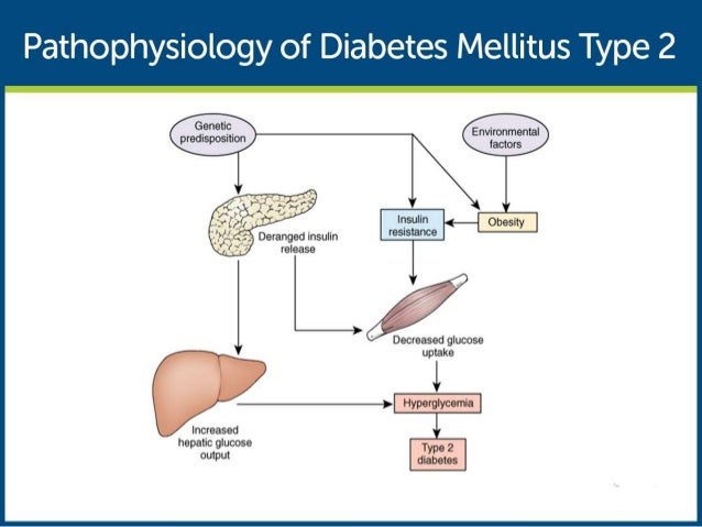 Diabetes Type 2 Pathophysiology Flow Chart