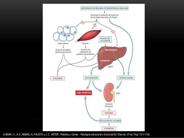 DIABETES TIPO 2 - ACTUALIZACION - ALAD - ADA 2014 DIABETES TIPO 2 - ACTUALIZACION - ALAD - ADA 2014