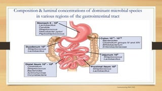 Composition & luminal concentrations of dominant microbial species
in various regions of the gastrointestinal tract
Gastroenterology 2008 134(2)
 