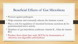 Beneficial Effects of Gut Microbiota
• Protects against pathogens
• Helps maturate and constantly educate the immune system
• Plays a role for regulation of intestinal hormone secretions & for
gastrointestinal nerve activity
• Members of gut microbiota synthesize vitamin K , folate & vitamin
B12
• Produce short-chain fatty acids (SCFAs) by fermentation of
otherwise non-digestible carbohydrates
 