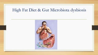 High Fat Diet & Gut Microbiota dysbiosis
 