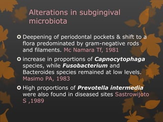 Alterations in subgingival
microbiota
 Deepening of periodontal pockets & shift to a
flora predominated by gram-negative rods
and filaments. Mc Namara Tf, 1981
 increase in proportions of Capnocytophaga
species, while Fusobacterium and
Bacteroides species remained at low levels.
Masimo PA, 1983
 High proportions of Prevotella intermedia
were also found in diseased sites Sastrowijoto
S ,1989
 