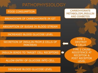 PATHOPHYSIOLOGY
FOOD CONSUMPTION
BREAKDOWN OF CARBOHYDRATE IN GIT
ABSORPTION OF SUGAR IN BLOOD STREAM
INCREASED BLOOD GLUCOSE LEVEL
SECRETION OF INSULIN FROM β CELLS OF
PANCREAS
INSULIN BINDS TO TARGET CELL RECEPTORS
ALLOW ENTRY OF GLUCOSE INTO CELL
DECREASE BLOOD GLUCOSE LEVEL
TYPE 1
DESTROY
β CELLS
TYPE 2 CAUSE
RESISTENCE AT
RECEPTOR &
POST RECEPTOR
LEVEL
CARBOHYDRATE
METABOLISM,INSULIN
AND DIABETES
 