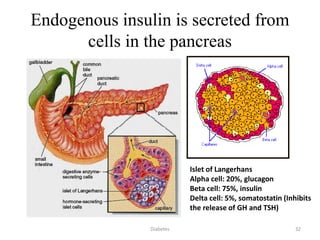 Endogenous insulin is secreted from
cells in the pancreas
Islet of Langerhans
Alpha cell: 20%, glucagon
Beta cell: 75%, insulin
Delta cell: 5%, somatostatin (Inhibits
the release of GH and TSH)
32Diabetes
 