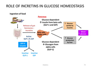 74
ROLE OF INCRETINS IN GLUCOSE HOMEOSTASIS
Ingestion of food
Beta cells
Alpha cells
Release of gut
hormones :
Incretins
Pancreas
Glucose-dependent
 Insulin from beta cells
(GLP-1 and GIP)
Glucose
uptake by
muscles
Glucose
production
by liver
Blood
glucose
Glucose dependent
 Glucagon from
alpha cells
(GLP-1)
Active
GLP-1 & GIP
DPP-4
enzyme
Inactive
GIP
Inactive
GLP-1
Diabetes
 
