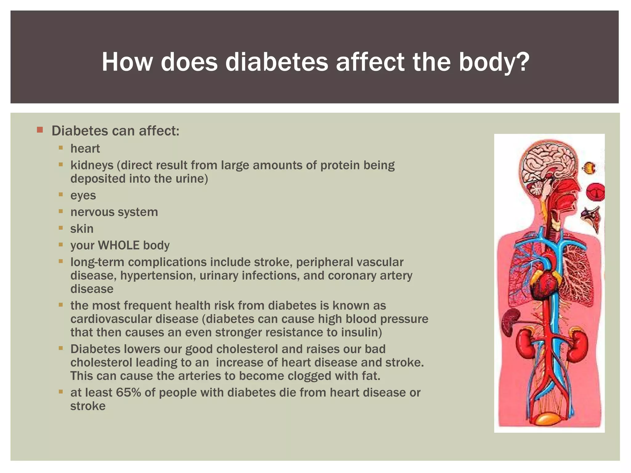 Diabetes can affect: heart kidneys (direct result from large amounts of protein being deposited into the urine)  eyes nervous system  skin  your WHOLE body  long-term complications include stroke, peripheral vascular disease, hypertension, urinary infections, and coronary artery disease the most frequent health risk from diabetes is known as cardiovascular disease (diabetes can cause high blood pressure that then causes an even stronger resistance to insulin) Diabetes lowers our good cholesterol and raises our bad cholesterol leading to an  increase of heart disease and stroke. This can cause the arteries to become clogged with fat.  at least 65% of people with diabetes die from heart disease or stroke  How does diabetes affect the body? 
