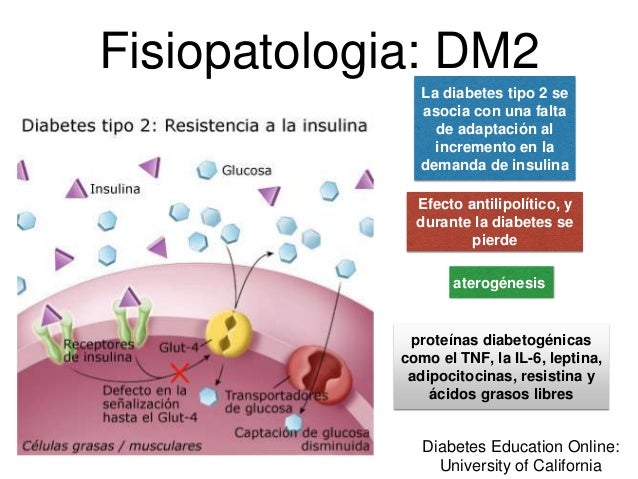 Desayuno diabetes tipo 1