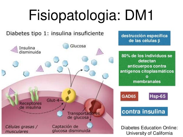 Diabetes generalidades Diabetes generalidades