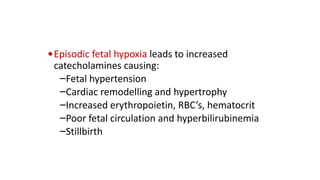 • Episodic fetal hypoxia leads to increased
catecholamines causing:
–Fetal hypertension
–Cardiac remodelling and hypertrophy
–Increased erythropoietin, RBC’s, hematocrit
–Poor fetal circulation and hyperbilirubinemia
–Stillbirth

 