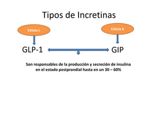 Tipos de Incretinas
GLP-1 GIP
Célula KCélula L
Son responsables de la producción y secreción de insulina
en el estado postprandial hasta en un 30 – 60%
 