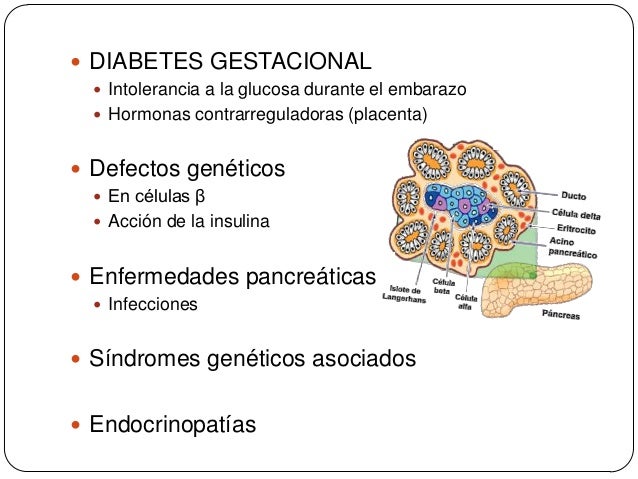 Diabetes presentación (1) Diabetes presentación (1)