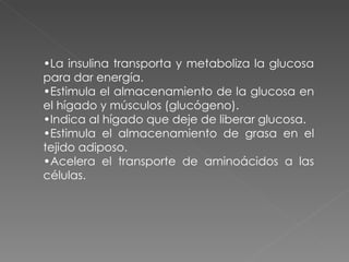 •La insulina transporta y metaboliza la glucosa
para dar energía.
•Estimula el almacenamiento de la glucosa en
el hígado y músculos (glucógeno).
•Indica al hígado que deje de liberar glucosa.
•Estimula el almacenamiento de grasa en el
tejido adiposo.
•Acelera el transporte de aminoácidos a las
células.
 