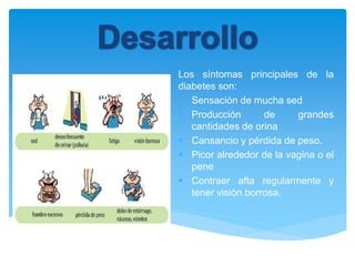 Los síntomas principales de la
diabetes son:
 Sensación de mucha sed
 Producción de grandes
cantidades de orina
 Cansancio y pérdida de peso.
 Picor alrededor de la vagina o el
pene
 Contraer afta regularmente y
tener visión borrosa.
 