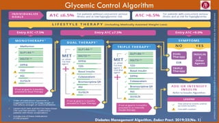 Type 2 Diabetes protocol | PDF