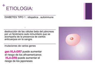 +
ETIOLOGIA:
DIABETES TIPO 1 : idiopatica , autoinmune
destrucción de las células beta del páncreas
por un fenómeno auto inmunitario que se
acompaña de la presencia de ciertos
anticuerpos en la sangre.
mutaciones de varios genes
.
puede aumentar
el riesgo de los afroamericanos
puede aumentar el
riesgo de los japoneses
 