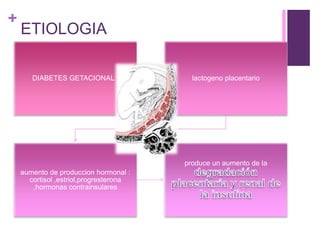 +
ETIOLOGIA
DIABETES GETACIONAL : lactogeno placentario
aumento de produccion hormonal :
cortisol ,estriol,progresterona
,hormonas contrainsulares
produce un aumento de la
 