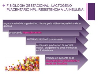 + FISIOLOGIA GESTACIONAL : LACTOGENO
PLACENTARIO HPL: RESISTENCIA A LA INSULINA:
segunda mitad de la gestación , disminuye la utilización periférica de la
glucosa
provocando
HIPERINSULINISMO compensatorio
aumenta la producción de cortisol ,
estriol , progesterona otras hormonas
contrainsulares
produce un aumento de la
 