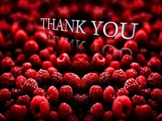 Diabetes self management