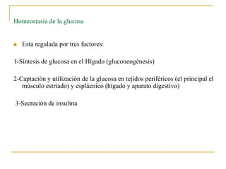 Homeostasia de la glucosa


   Esta regulada por tres factores:

1-Síntesis de glucosa en el Hígado (gluconeogénesis)

2-Captación y utilización de la glucosa en tejidos periféricos (el principal el
   músculo estriado) y esplácnico (hígado y aparato digestivo)

3-Secreción de insulina
 