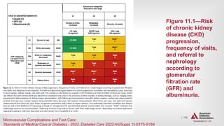 | 196
MICROVASCULAR COMPLICATIONS AND FOOT CARE
Figure 11.1—Risk
of chronic kidney
disease (CKD)
progression,
frequency of visits,
and referral to
nephrology
according to
glomerular
filtration rate
(GFR) and
albuminuria.
Microvascular Complications and Foot Care:
Standards of Medical Care in Diabetes - 2022. Diabetes Care 2022;44(Suppl. 1):S175-S184
 