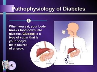 Pathophysiology of Diabetes
When you eat, your body
breaks food down into
glucose. Glucose is a
type of sugar that is
your body’s
main source
of energy.
6
 