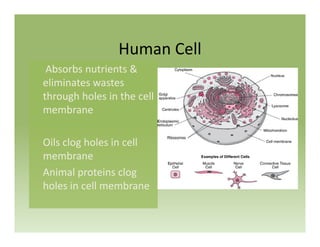H C llHuman Cell
Absorbs nutrients & 
eliminates wastes 
through holes in the cell 
bmembrane
Oil l h l i llOils clog holes in cell 
membrane
A i l t i lAnimal proteins clog 
holes in cell membrane
 