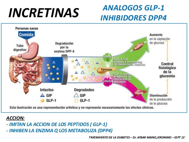DIABETES: TERAPEUTICA - CATEDRA DE MEDICINA INTERNA - DR DIABETES: TERAPEUTICA - CATEDRA DE MEDICINA INTERNA - DR