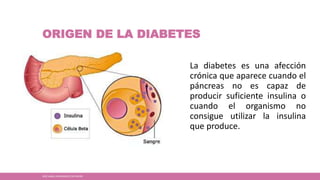 ORIGEN DE LA DIABETES
La diabetes es una afección
crónica que aparece cuando el
páncreas no es capaz de
producir suficiente insulina o
cuando el organismo no
consigue utilizar la insulina
que produce.
JOSÉ ANGEL HERNÁNDEZ CASTREJÓN
 