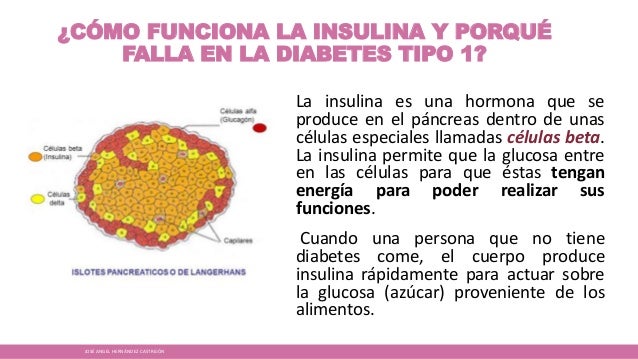Diabetes tipo 1 Diabetes tipo 1