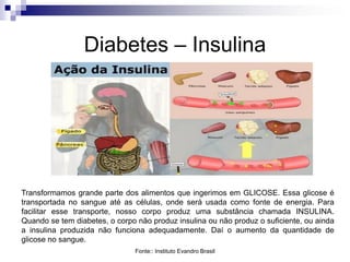 Diabetes – Insulina

Transformamos grande parte dos alimentos que ingerimos em GLICOSE. Essa glicose é
transportada no sangue até as células, onde será usada como fonte de energia. Para
facilitar esse transporte, nosso corpo produz uma substância chamada INSULINA.
Quando se tem diabetes, o corpo não produz insulina ou não produz o suficiente, ou ainda
a insulina produzida não funciona adequadamente. Daí o aumento da quantidade de
glicose no sangue.
Fonte:: Instituto Evandro Brasil

 