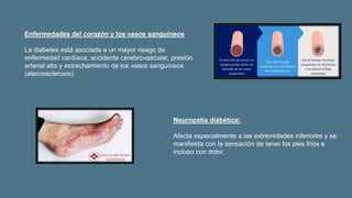 Enfermedades del corazón y los vasos sanguíneos
La diabetes está asociada a un mayor riesgo de
enfermedad cardíaca, accidente cerebrovascular, presión
arterial alta y estrechamiento de los vasos sanguíneos
(ateroesclerosis).
Neuropatía diabética:
Afecta especialmente a las extremidades inferiores y se
manifiesta con la sensación de tener los pies fríos e
incluso con dolor.
 
