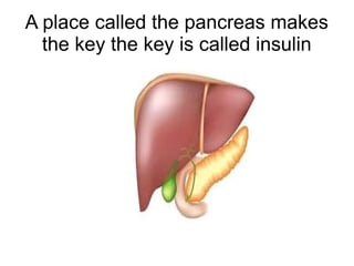 A place called the pancreas makes
the key the key is called insulin
