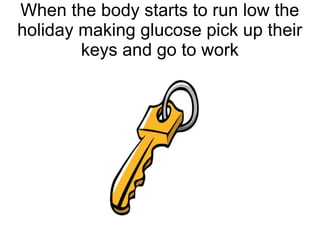 When the body starts to run low the
holiday making glucose pick up their
keys and go to work