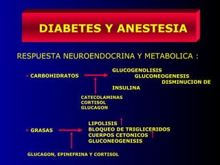 DIABETES Y ANESTESIA
RESPUESTA NEUROENDOCRINA Y METABOLICA :
• CARBOHIDRATOS
GLUCOGENOLISIS
GLUCONEOGENESIS
DISMINUCION DE
INSULINA
CATECOLAMINAS
CORTISOL
GLUCAGON
• GRASAS
LIPOLISIS
BLOQUEO DE TRIGLICERIDOS
CUERPOS CETONICOS
GLUCONEOGENISIS
GLUCAGON, EPINEFRINA Y CORTISOL
 