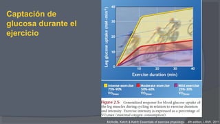Captación de
glucosa durante el
ejercicio
McArdle, Katch & Katch Essentials of exercise physiology. . 4th edition, LWW, 2011
 
