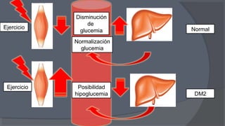 Normalización
glucemia
Ejercicio
Disminución
de
glucemia
Ejercicio Posibilidad
hipoglucemia
Normal
DM2
 