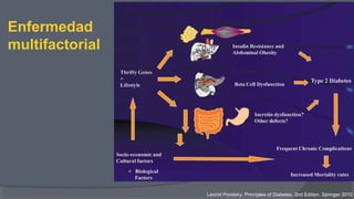 Enfermedad
multifactorial
Leonid Poretsky. Principles of Diabetes. 2nd Edition. Springer 2010
 