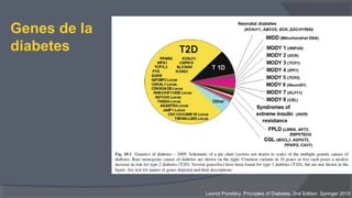 Genes de la
diabetes
Leonid Poretsky. Principles of Diabetes. 2nd Edition. Springer 2010
 