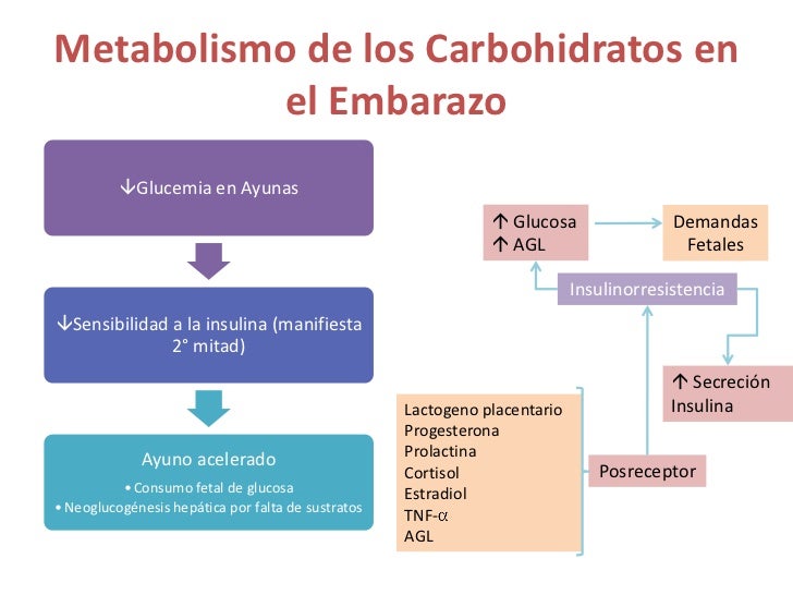 Diabetes y embarazo Diabetes y embarazo