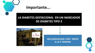 Importante...
LA DIABETES GESTACIONAL EN UN MARCADOR
DE DIABETES TIPO 2
RECLASIFICACION POST PARTO
A LA 6° SEMANA
 